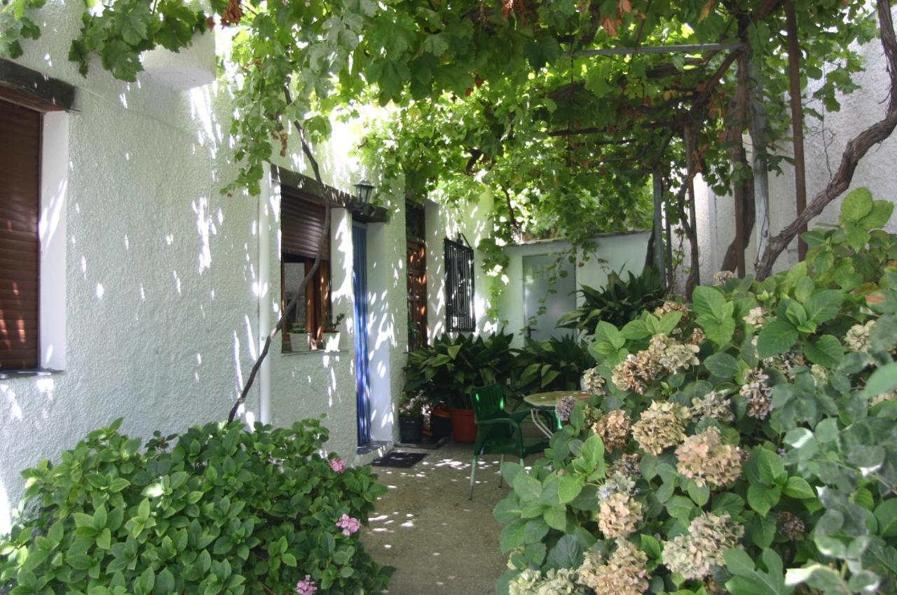 Apartamentos Y Casas Rurales Las Terrazas De La Alpujarra Bubion Bagian luar foto